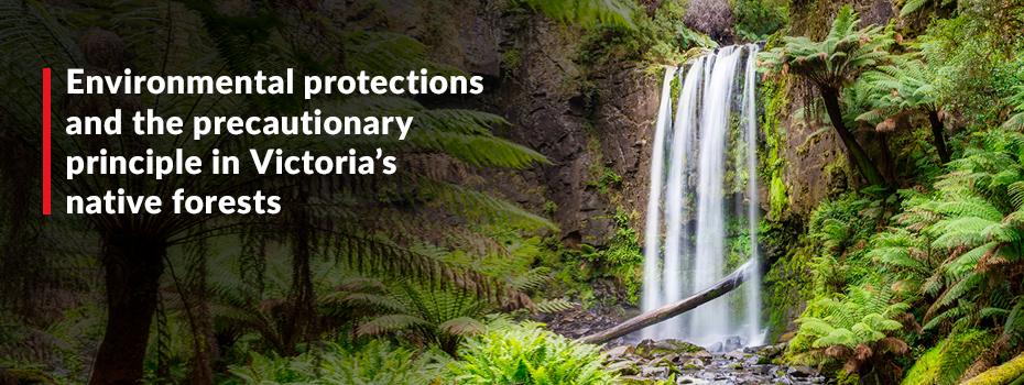 Environmental protections and the precautionary principle in Victoria’s native forests 2 Landmark Cases